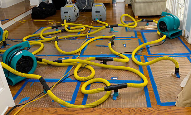 Professional Water Extraction technician working in Greendale, WI
